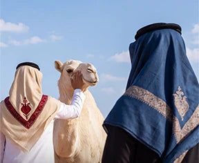 Nouveautés NAJD